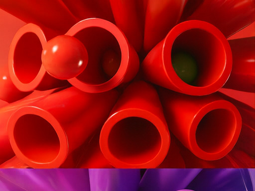 알파 존 탐험 체험