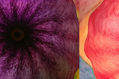 베타 존 스테이지 탐험